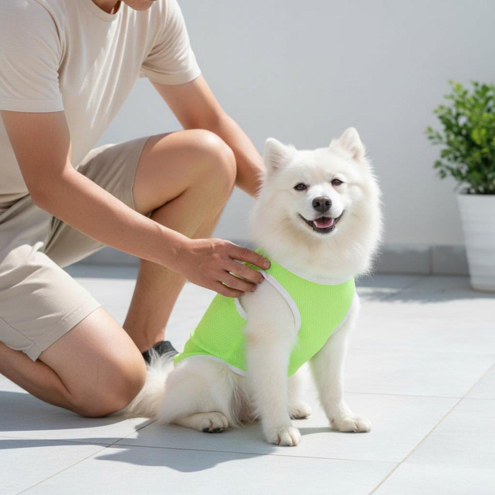 Pet Mesh Vest for Dogs Heat Re - Outdoor Adventure Vest recension och pris
