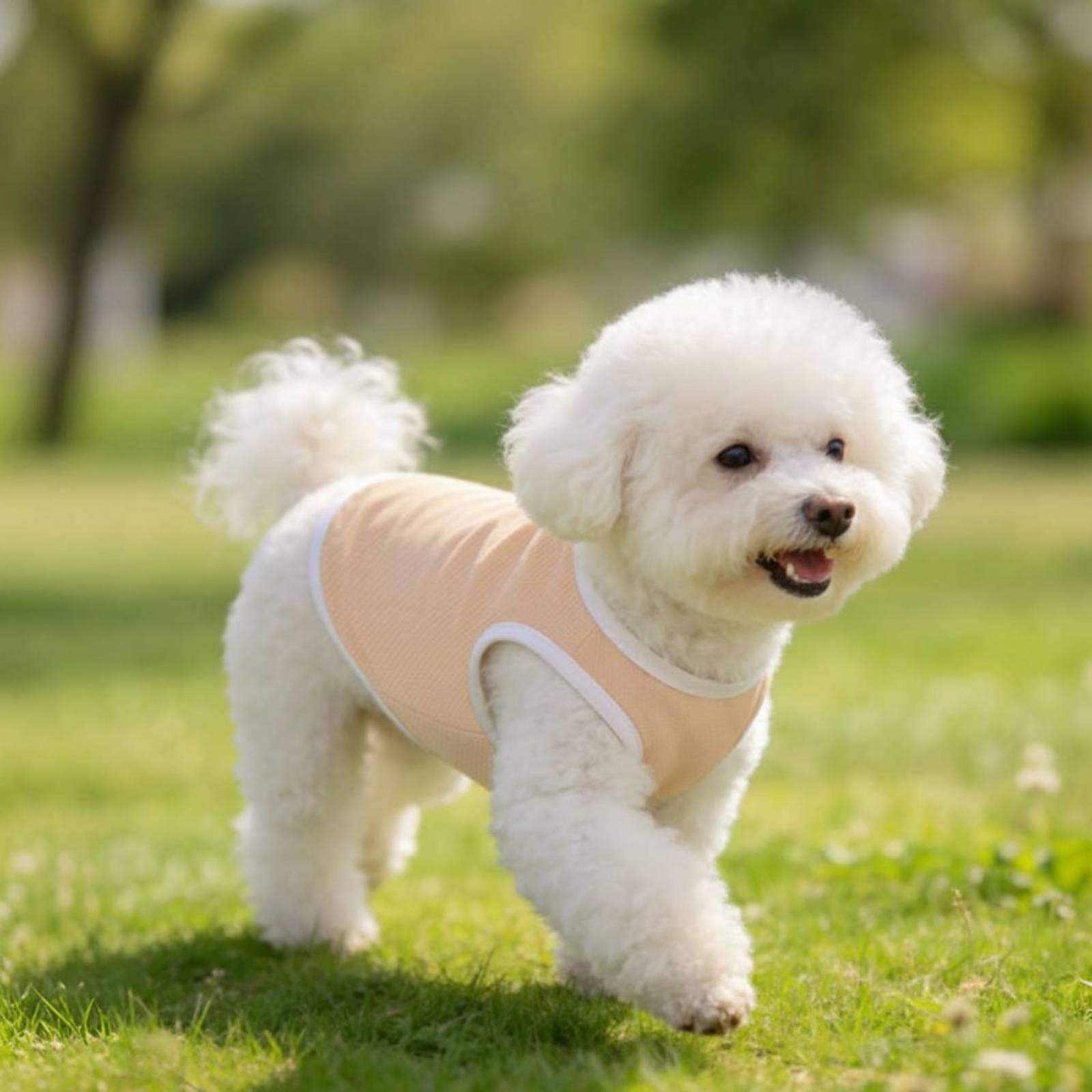 Pet Mesh Vest for Dogs Heat Re - Outdoor Adventure Vest recension och pris