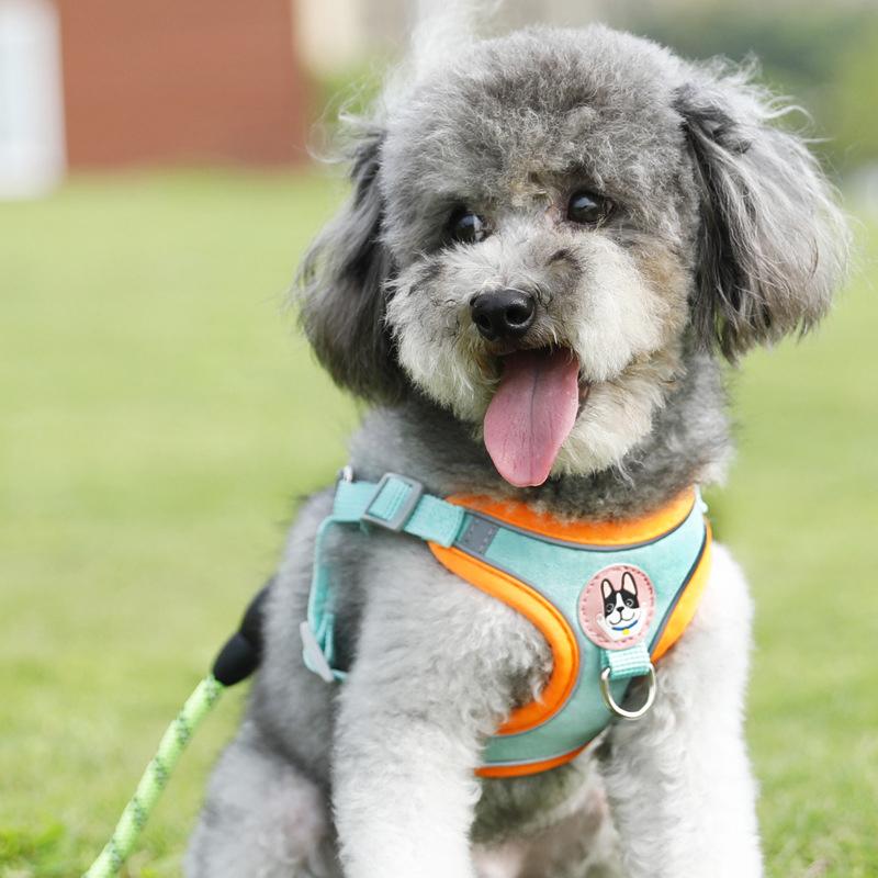 Lightweight Adjustable Dog Har - Outdoor Adventure Vest recension och pris